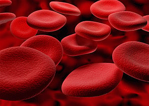 New red blood cell simulator invented