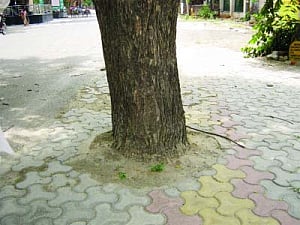 Green brigade protests Gzb concretisation