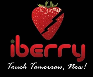 Now a smartphone from iBerry
