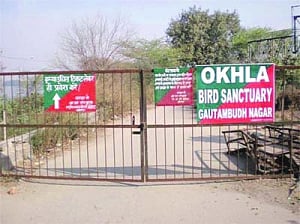 Sanctuary land misuse: Notice to Centre, UP