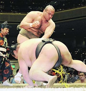 Shalan brings African flavour to sumo