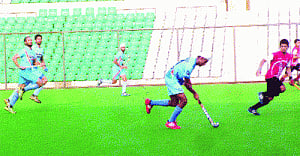 Don't worry about pressure, give your best shot: Oltmans