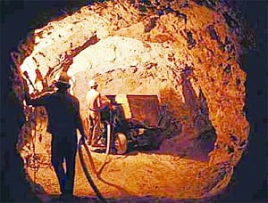 Bharat Gold Mines revival plan, Govt to float bids for assets sale