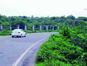 Gurgaon gets the rub of the green