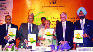 Sheila terms water scarcity in Delhi 'biggest' challenge