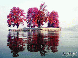 Symbol of paradise