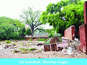 Historic dump at heritage sites trash history