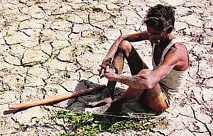 Bihar Govt declares 33 districts as drought-hit