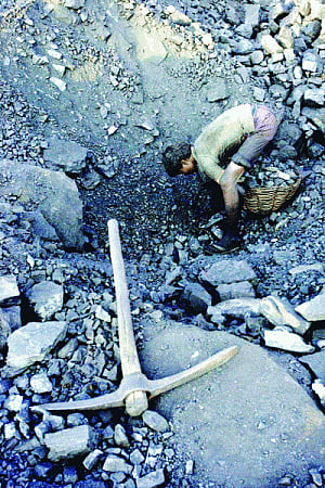Govt snatched CIl blocks, gifted them to pvt bidders