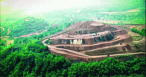 SC flays Goa Govt for allotting mining leases in national parks