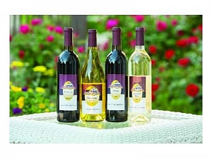 A wine-wine situation