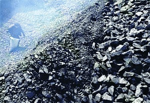 Coal Min went against own policy: Govt to SC