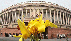 Cabinet likely to consider ordinance to protect lawmakers
