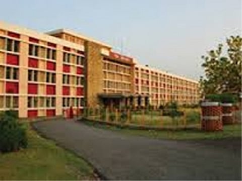 Encephalitis claims 3 more lives; Toll 304