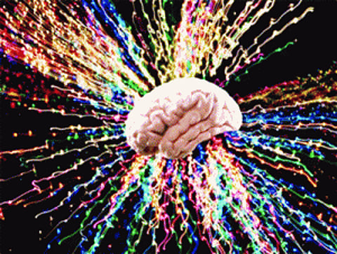 Indian-origin scientist develops 'brain' for robots