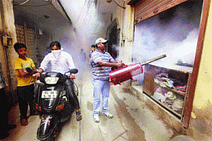 Dengue menace in city reaches fever pitch