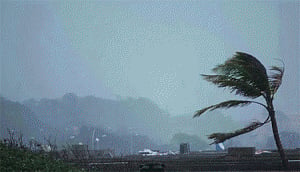 Phailin gains strength, wind speed to reach 215 kmph: IMD