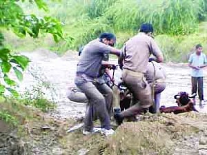 locals take cattle trade by the horns, block E-way