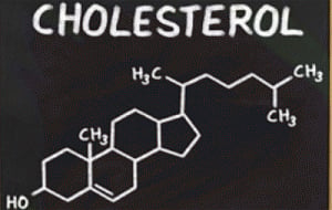World's oldest cholesterol discovered