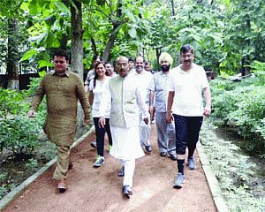 BJP to knock on doors to feel 'real pulse' of voters