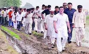 Rahul wakes up to Dalit, tribal agenda
