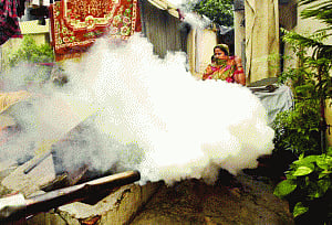 Dengue claims another life, number of cases cross 4,000