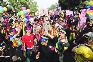 lGBTQ queers University pitch