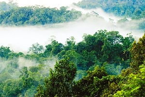 Gateway's to God's own country