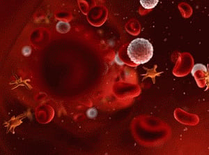Aus researchers make leukaemia treatment breakthrough