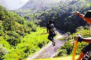 Free Fall