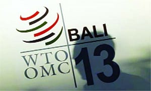 Indonesian President may call Manmohan Singh over WTO impasse