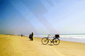 Sewage line on Puri beach irks NGT; bans all construction