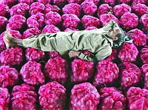Onion price rise enough to make city cry