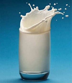TN milk producers union to stop supply to co-op societies