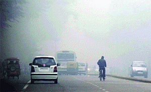 Thick fog blankets parts of Delhi, NCR