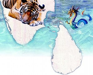 losing game in Sri lanka