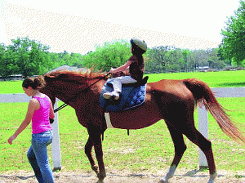 Teens take the reins