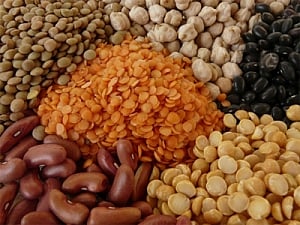 Interrupting protein can help boost immunity: Study