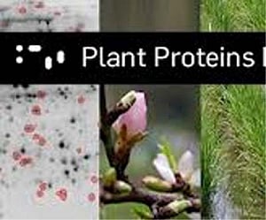Plant proteins can help solve global food, fuel problems