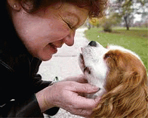 Humans can read a dog's mood from its barks