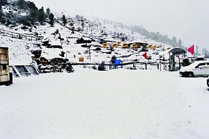 Rains, snowfall bring cheer to farmers in U'khand
