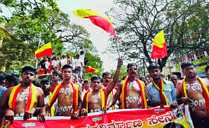Kannada film industry observes bandh against dubbing