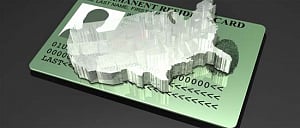 Visa, green card allocations need to reflect market demand:Rep