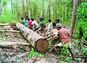 Hope for tigers as Terai Gujjars ready to leave forests