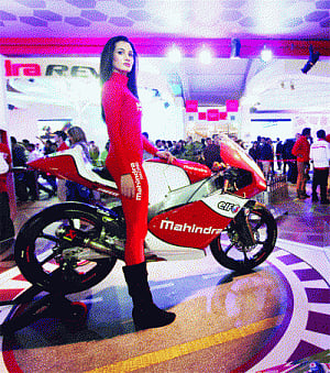 Beauties & hot wheels draw crowds to expo