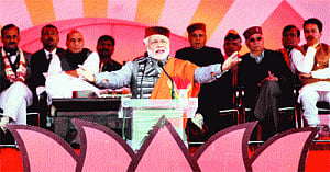 'BJP always cultivated seeds of love'