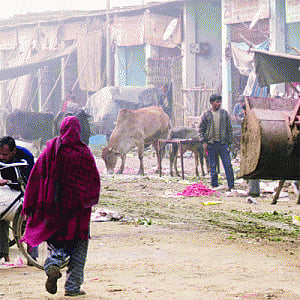 Ghazipur mkt to move into a 28-acre economic complex