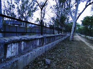 Juvenile killer on the lam with 39 others