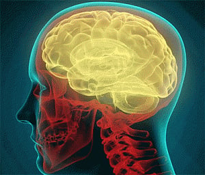 Women have more resilient brains: study