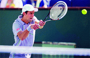 Djokovic, Isner reach semis
